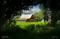 Scenery